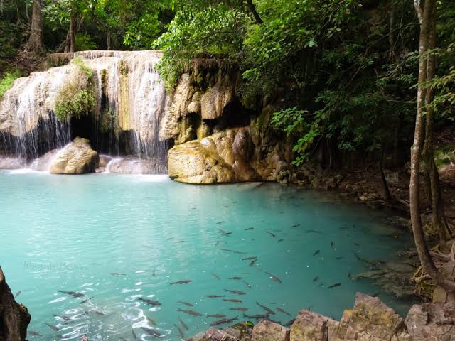 Image of Into the Wild: Ethical Elephant Care & Erawan National Park Adventure
