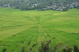 Image of 2D Hidden Flores Escape – Wae Rebo Village Trekking & Cultural Experience