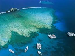 Sharm Ras Mohamed Full-Day — Marine Safari, Bedouin Panorama & Sunset