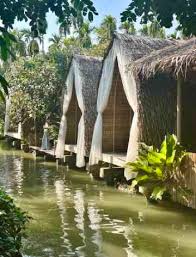 All-in-One IG Café Tour from Bangkok: Forests, Boats & Night Markets