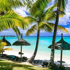 Image of Swim with Dolphins & Island Escape – Crystal Rock & Île aux Bénitiers Tour