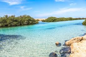 Image of Sharm Ras Mohamed Full-Day — Marine Safari, Bedouin Panorama & Sunset