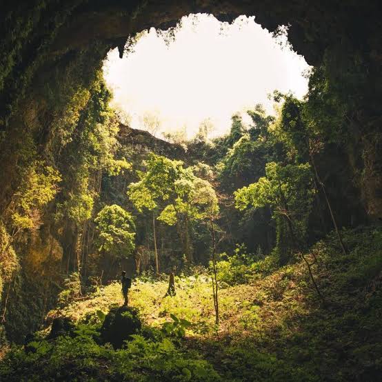 6D Ultimate Java Heritage & Nature Expedition