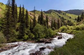 Image of Hidden Beauty of Turgen Gorge Tour