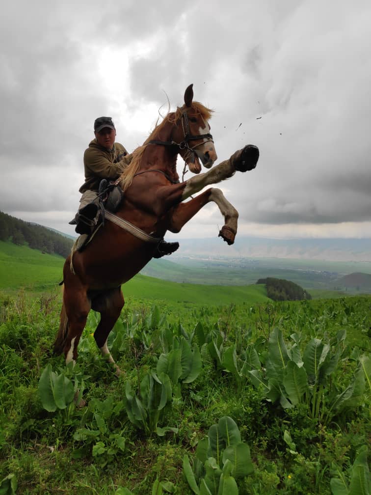Image of Into the Wild Kyrgyz Highlands: 4-Day Horse Trek to Song-Kul