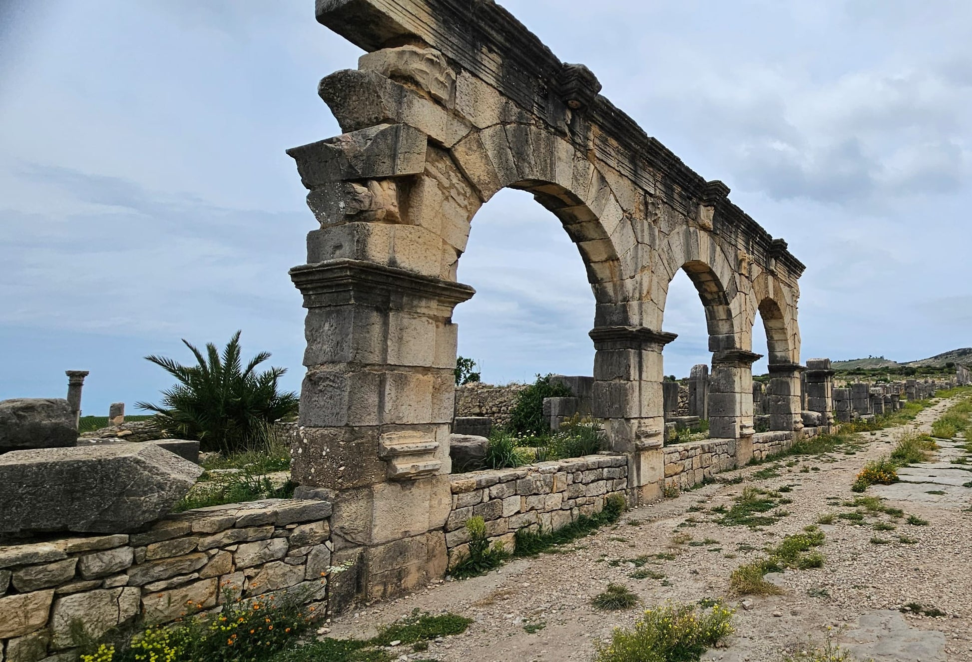 Sacred Paths & Imperial Cities: Volubilis–Meknès Cultural Escape