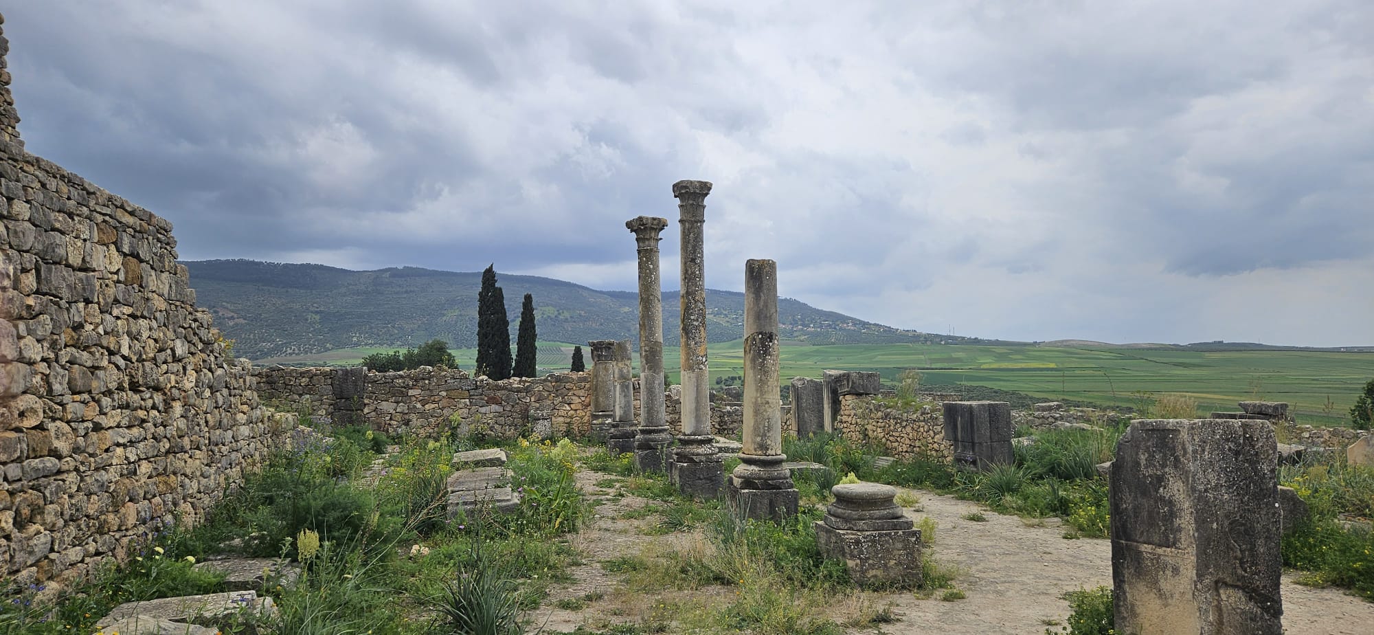 Image of Sacred Paths & Imperial Cities: Volubilis–Meknès Cultural Escape