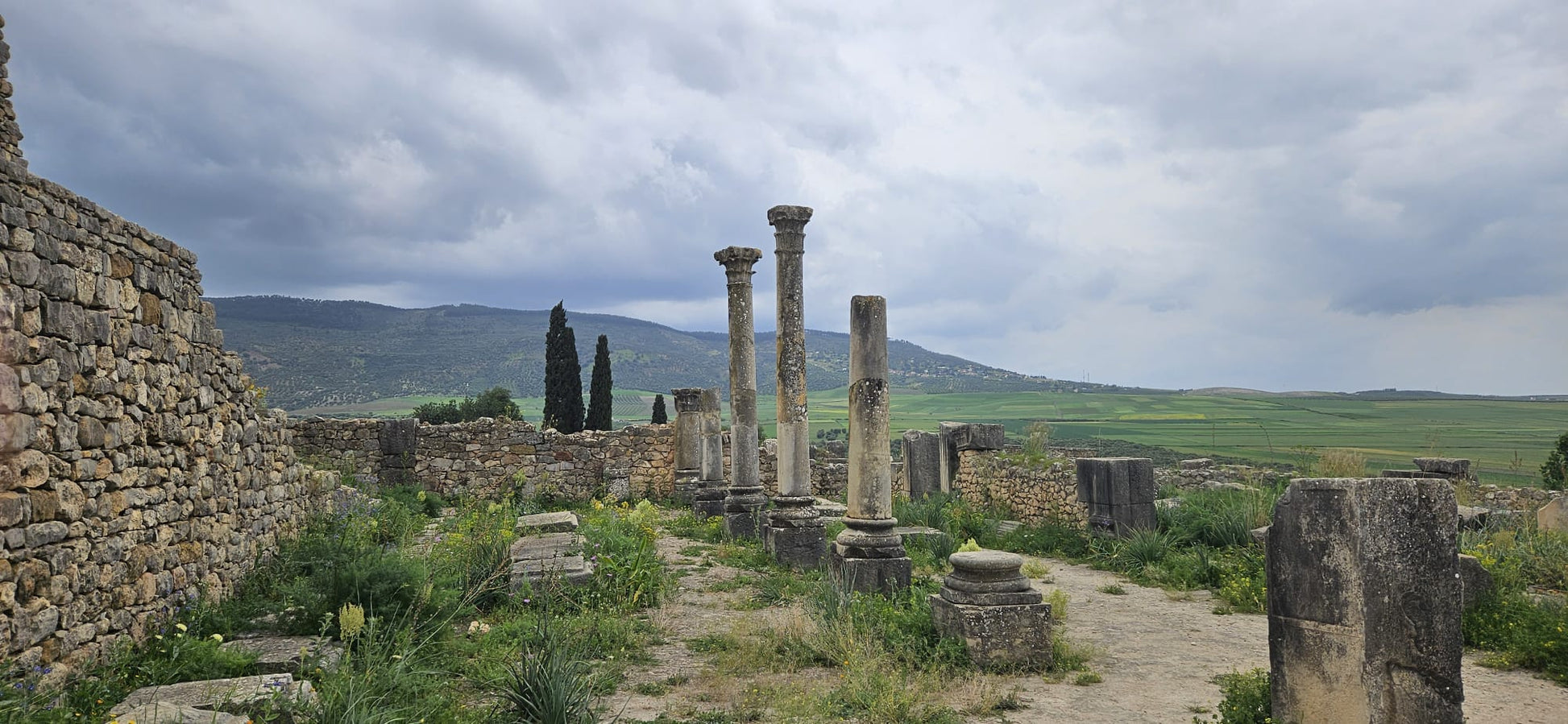 Sacred Paths & Imperial Cities: Volubilis–Meknès Cultural Escape