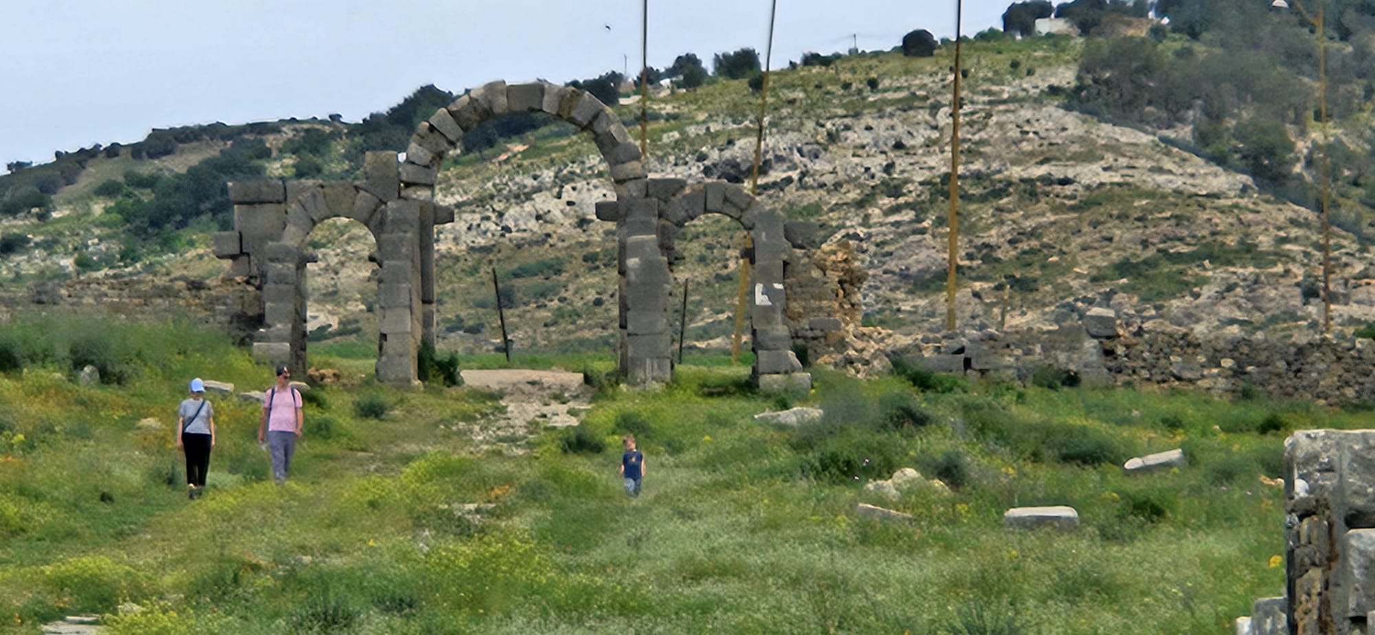 Image of Sacred Paths & Imperial Cities: Volubilis–Meknès Cultural Escape