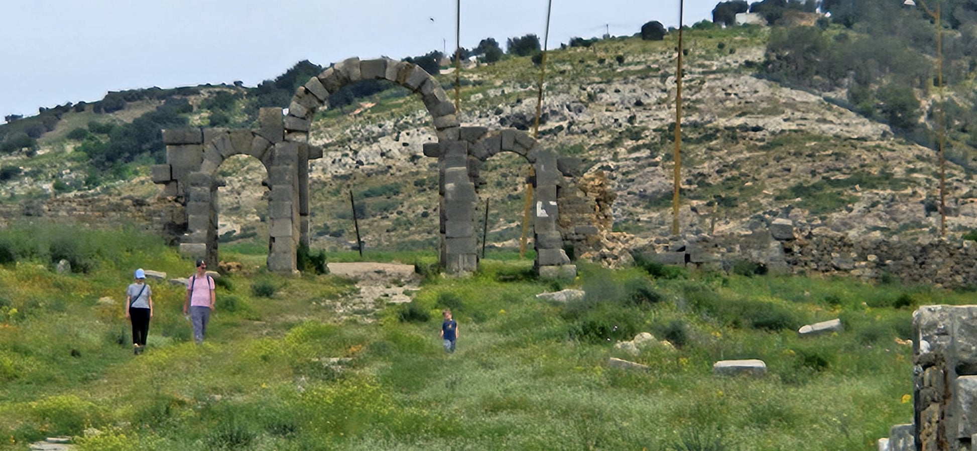 Sacred Paths & Imperial Cities: Volubilis–Meknès Cultural Escape