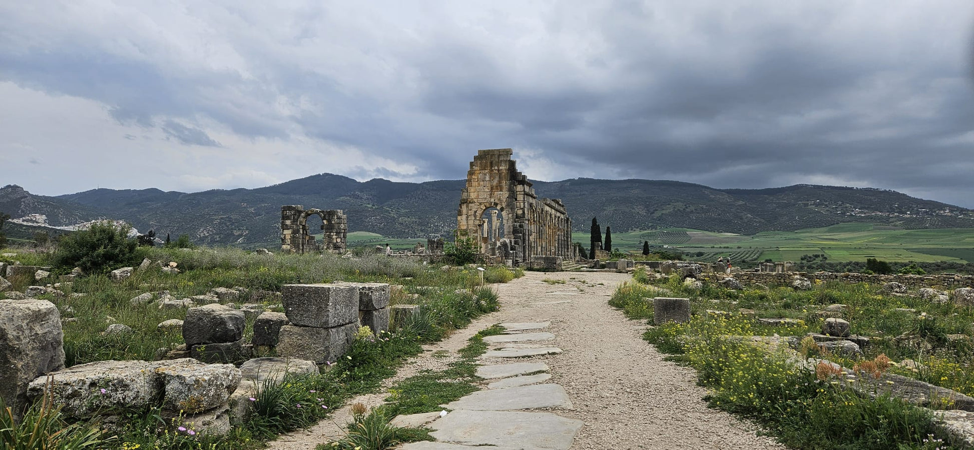 Sacred Paths & Imperial Cities: Volubilis–Meknès Cultural Escape