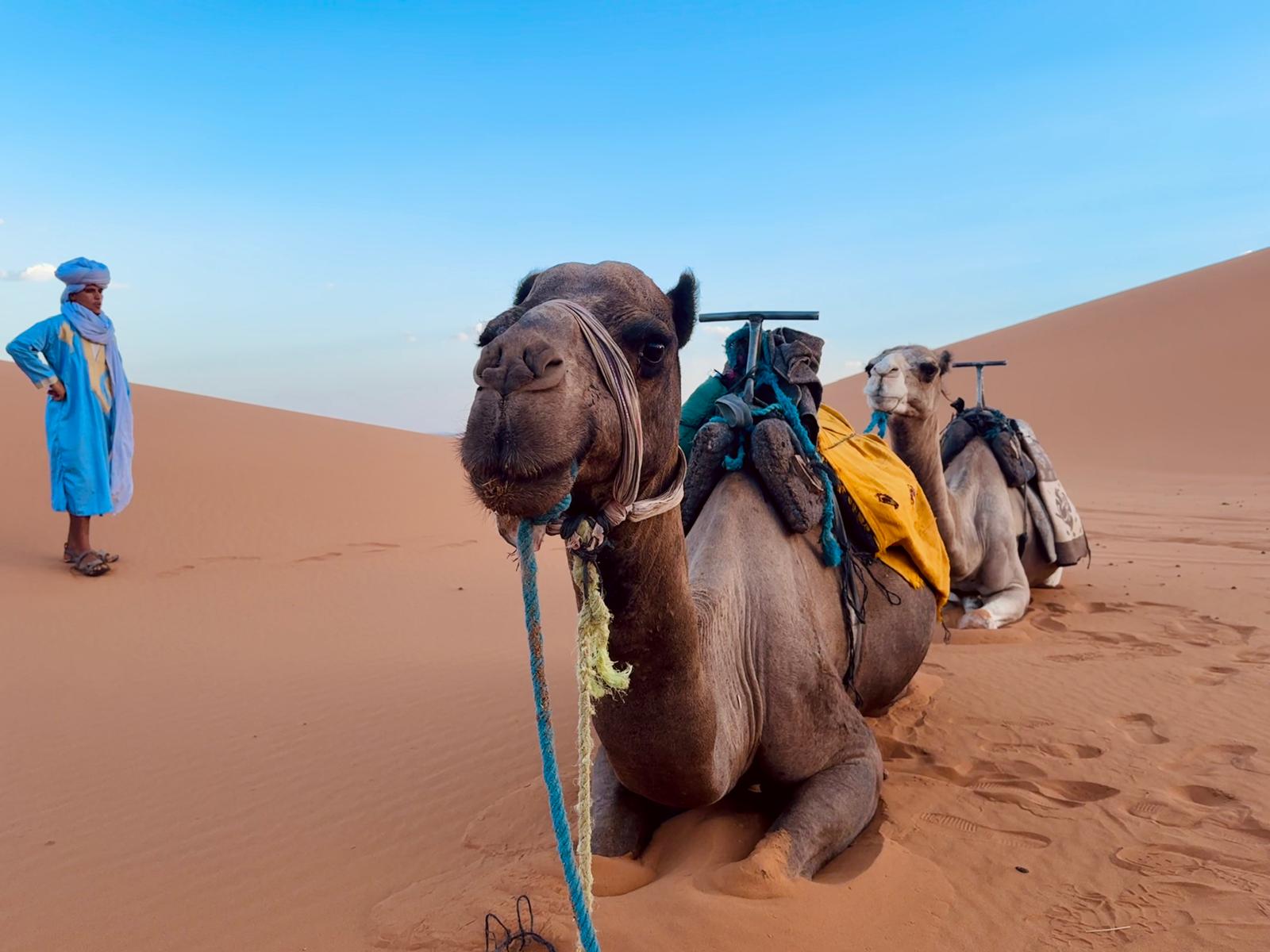 Morocco Grand Odyssey: Imperial Cities, Blue Towns & Sahara Nights