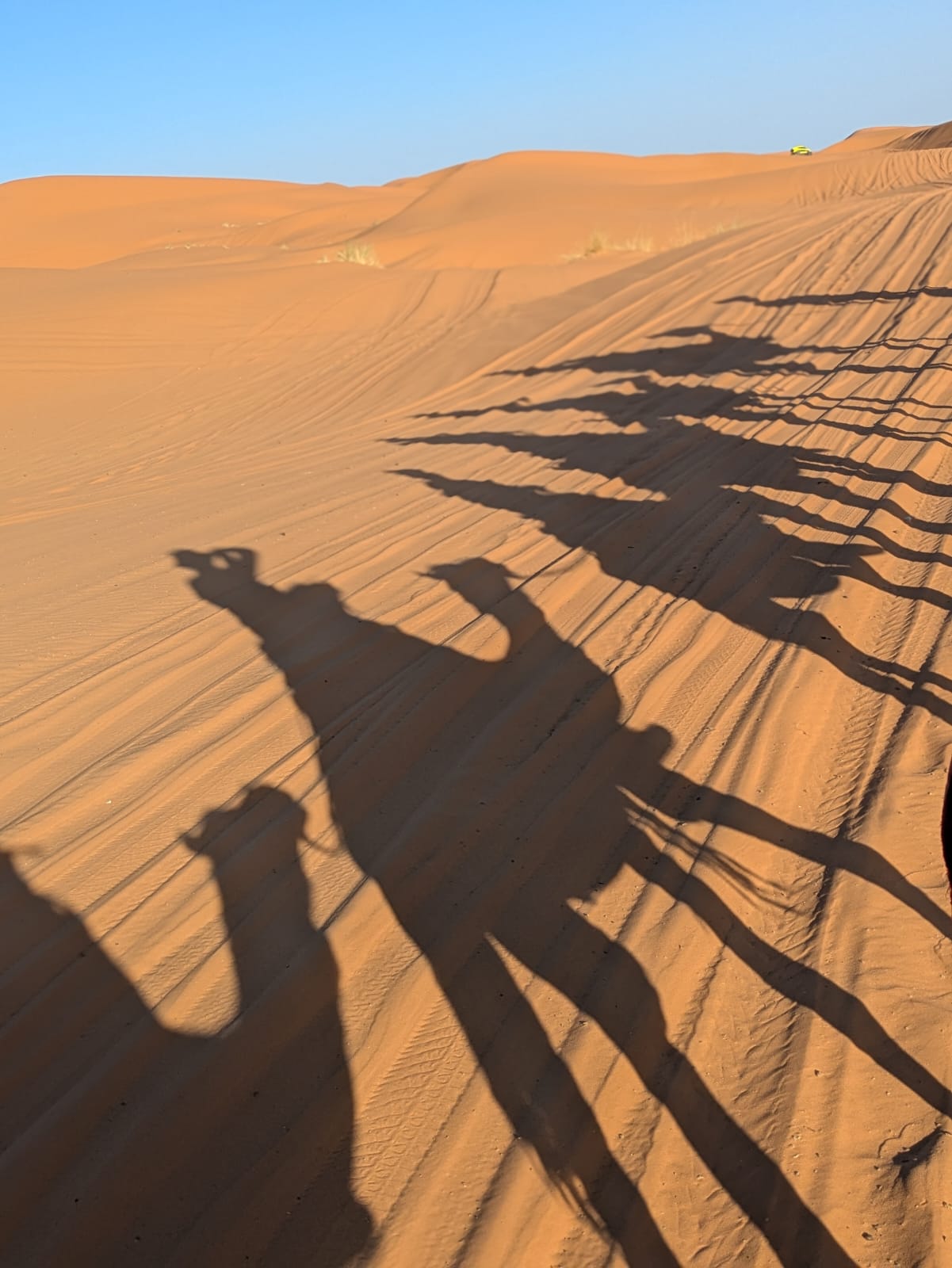 Image of From Blue Streets to Desert Dunes: 6-Day Tangier to Marrakech Journey