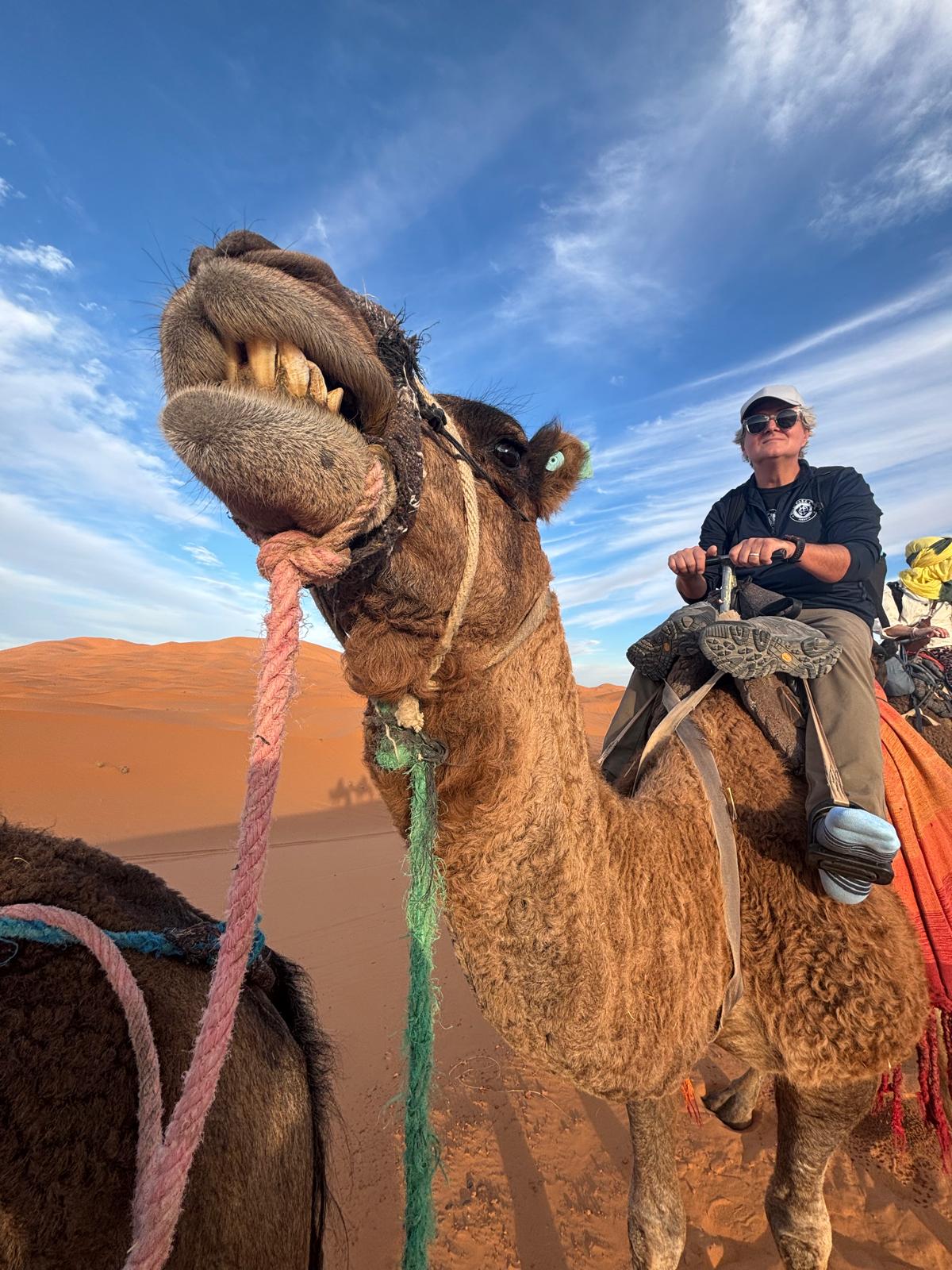 Morocco Grand Odyssey: Imperial Cities, Blue Towns & Sahara Nights