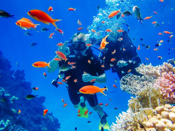 Image of Ras Mohamed & Tiran Snorkeling Cruise – Red Sea Coral Reefs