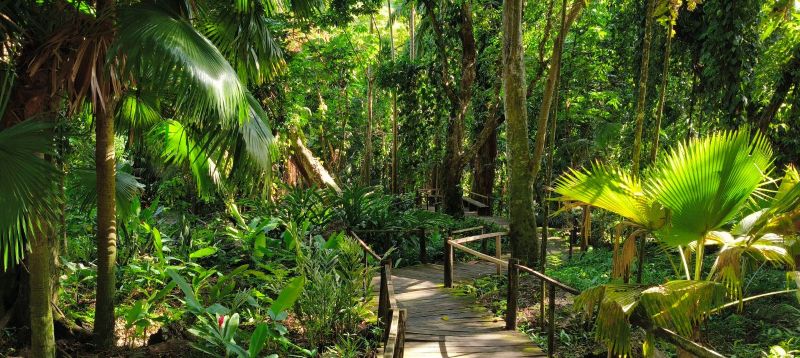 [Afternoon Session] Cultural & Natural Wonders of Nadi: A Complete Sightseeing Tour