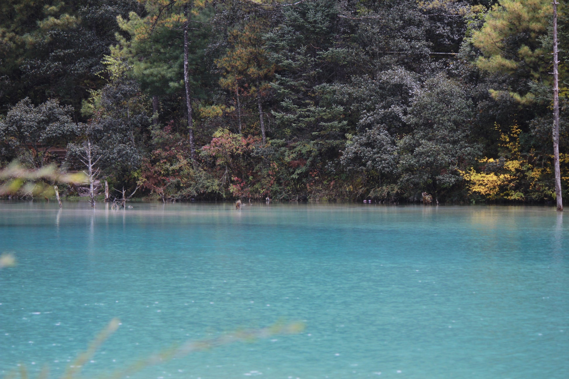 Yunnan Soul Journey: Kunming, Dali, Lijiang & Shangri-La in 8 Days