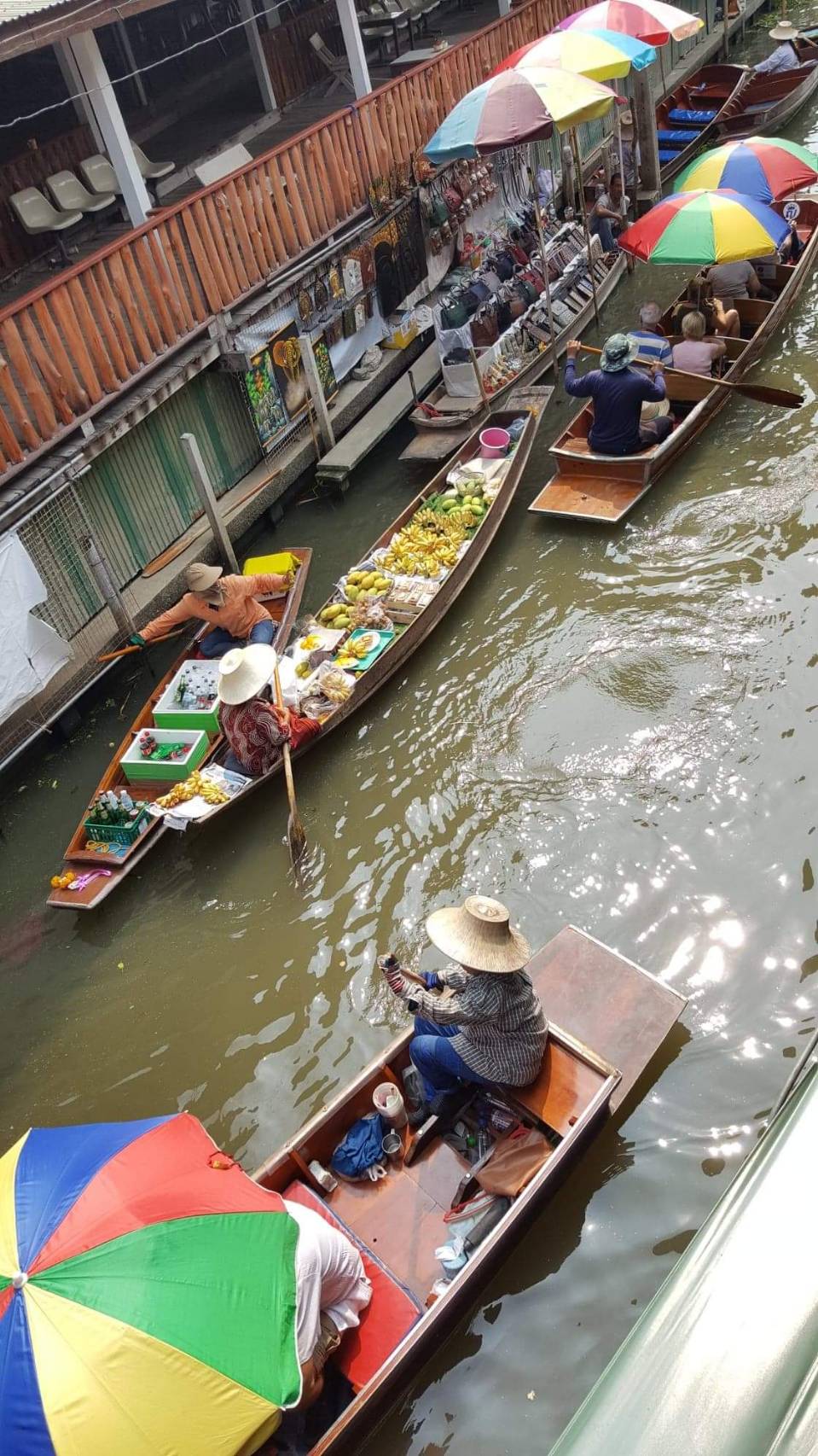 Image of Wildlife & Wonders: Ayutthaya Lion Park, Thai Costume & Ancient Temples Adventure