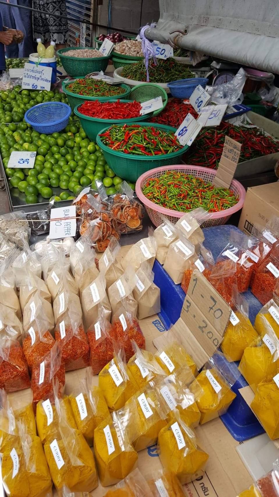 Wildlife & Wonders: Ayutthaya Lion Park, Thai Costume & Ancient Temples Adventure