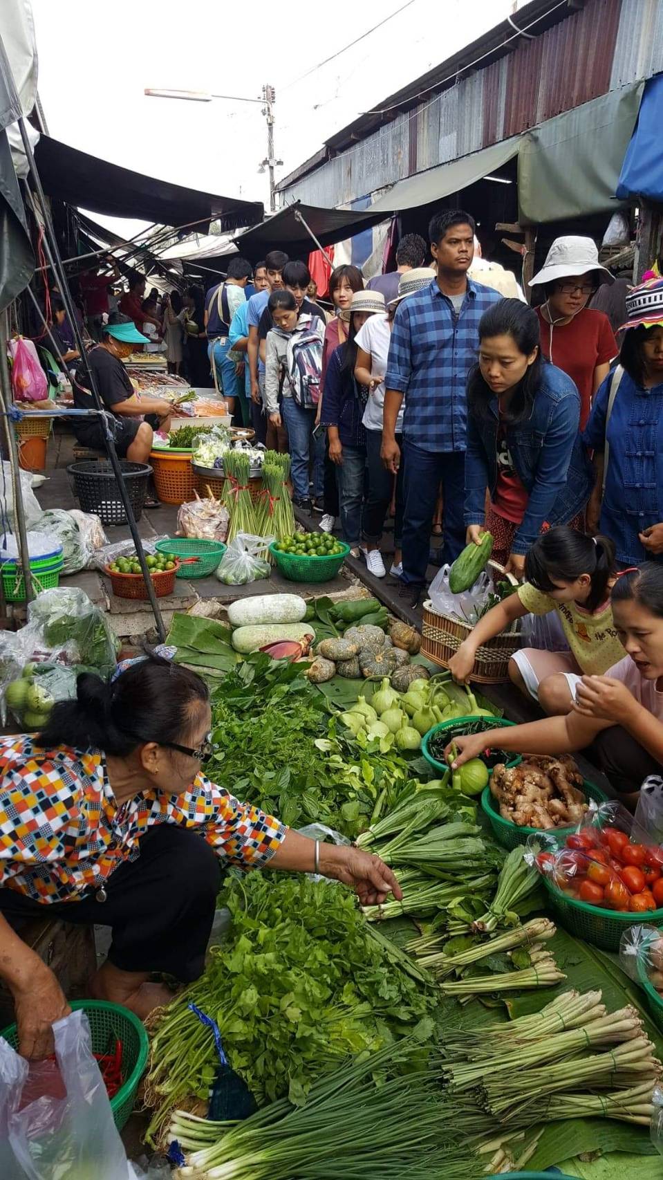 Wildlife & Wonders: Ayutthaya Lion Park, Thai Costume & Ancient Temples Adventure