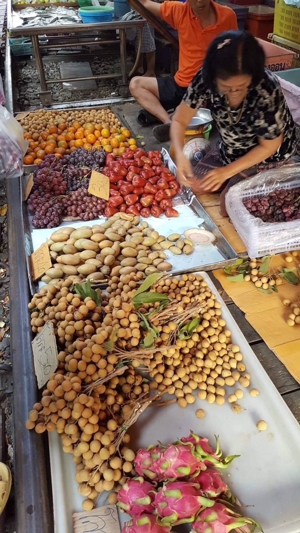 Image of Wildlife & Wonders: Ayutthaya Lion Park, Thai Costume & Ancient Temples Adventure