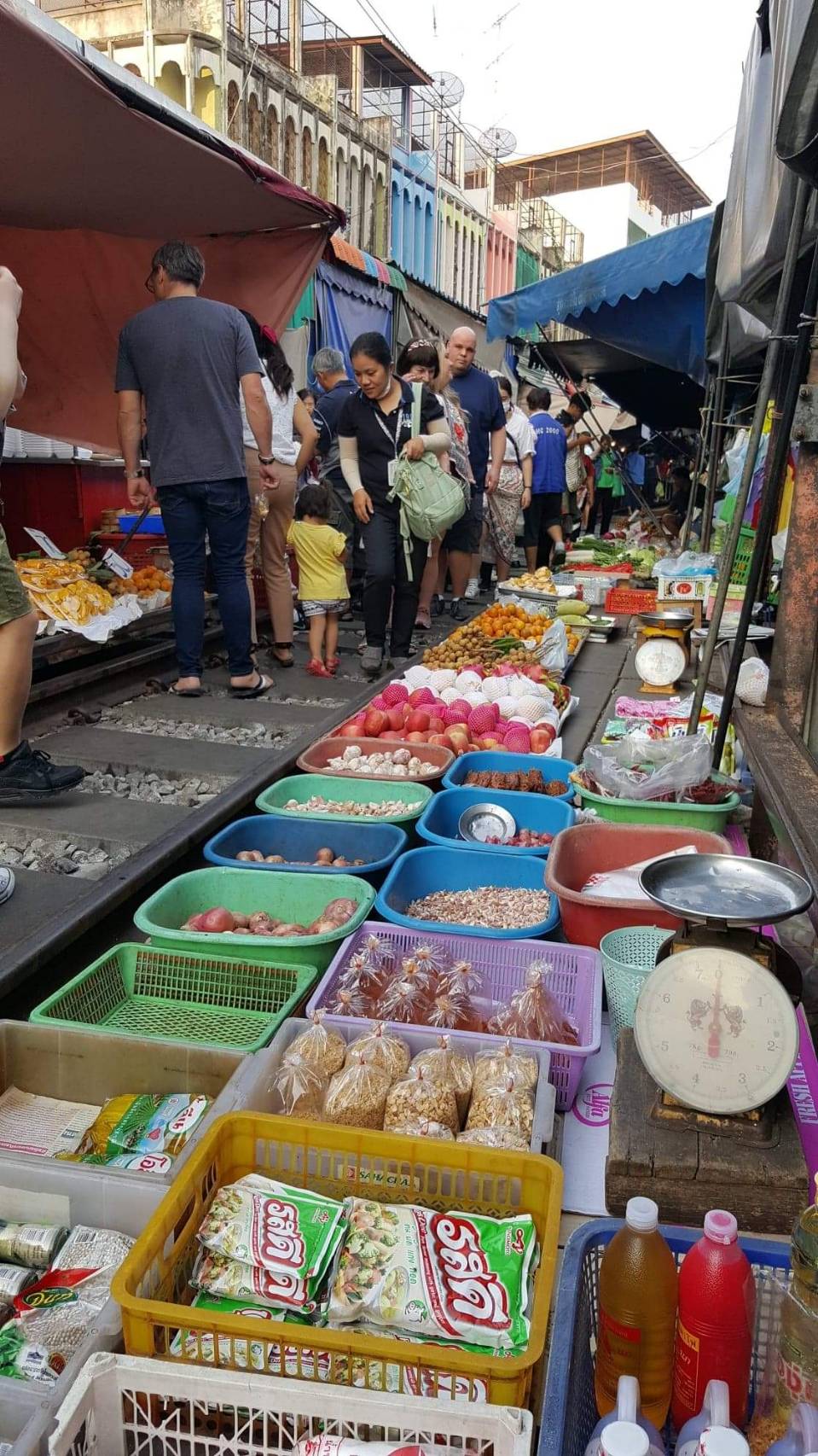 Wildlife & Wonders: Ayutthaya Lion Park, Thai Costume & Ancient Temples Adventure