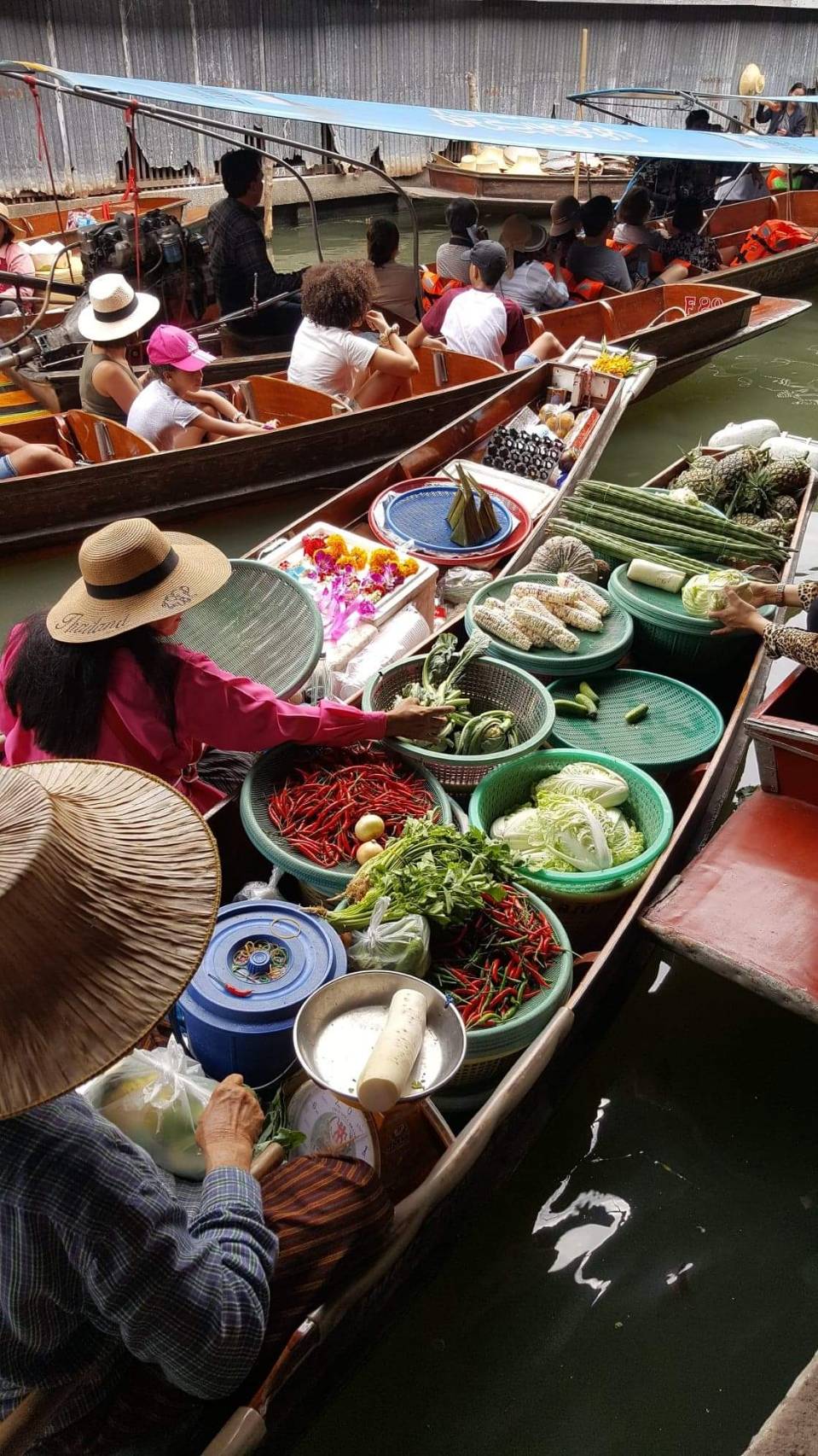 Wildlife & Wonders: Ayutthaya Lion Park, Thai Costume & Ancient Temples Adventure