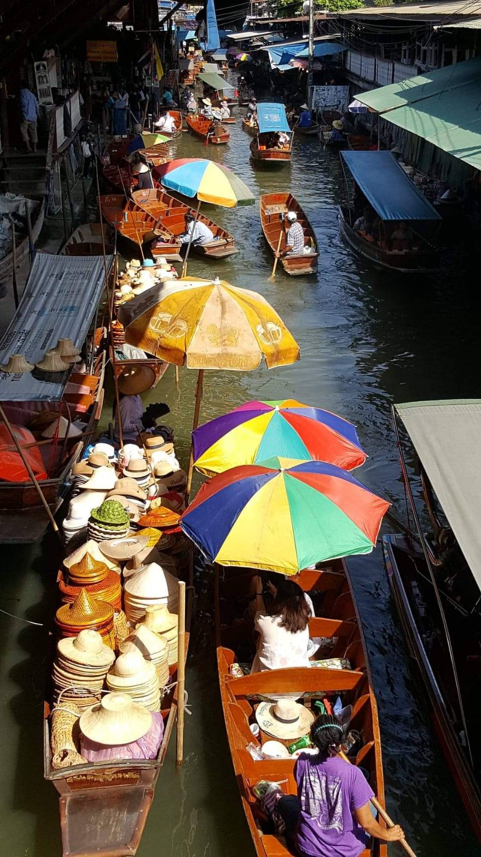 Wildlife & Wonders: Ayutthaya Lion Park, Thai Costume & Ancient Temples Adventure