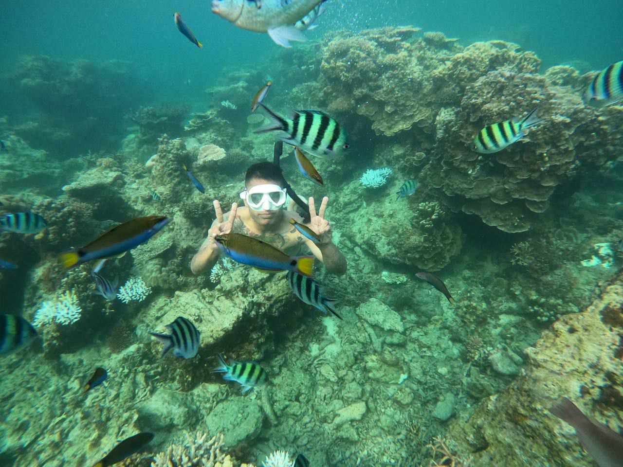 Highlands, Islands & Adventures - Yogyakarta