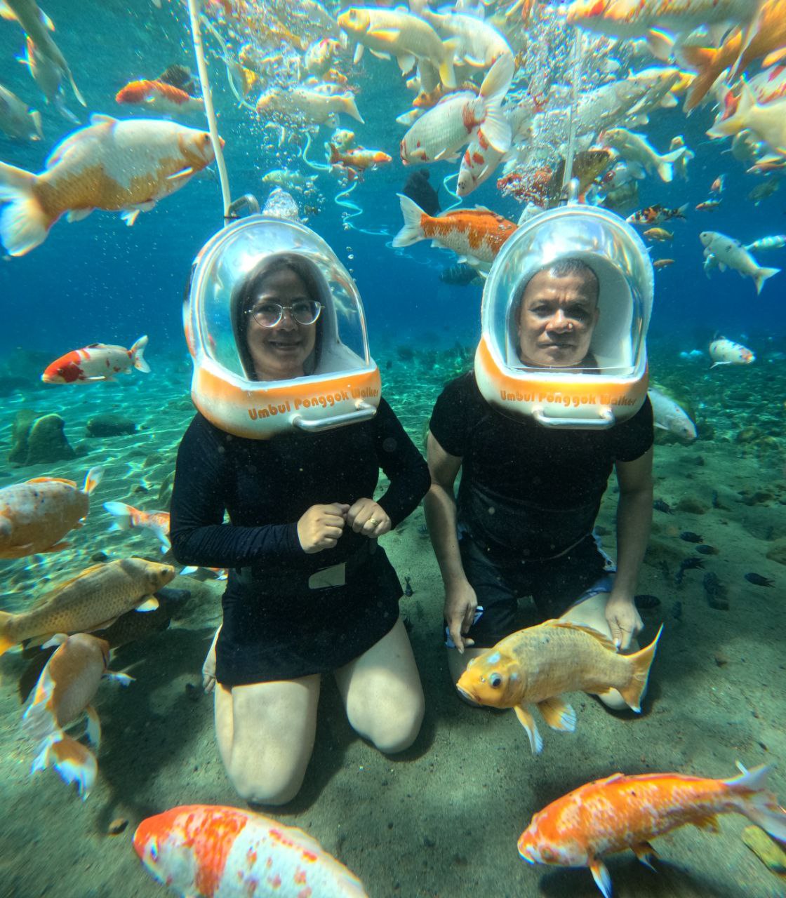 Image of Highlands, Islands & Adventures - Yogyakarta
