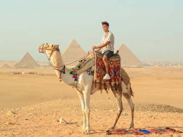 Image of Giza Pyramids Horseback & Carriage Tour – Desert Ride