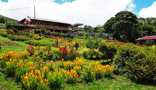 Image of Manado & Minahasa 4D3N Exotic Explorer – Bunaken, Lihaga & Highlands