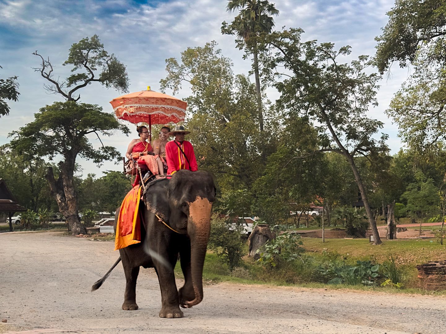 Wildlife & Wonders: Ayutthaya Lion Park, Thai Costume & Ancient Temples Adventure