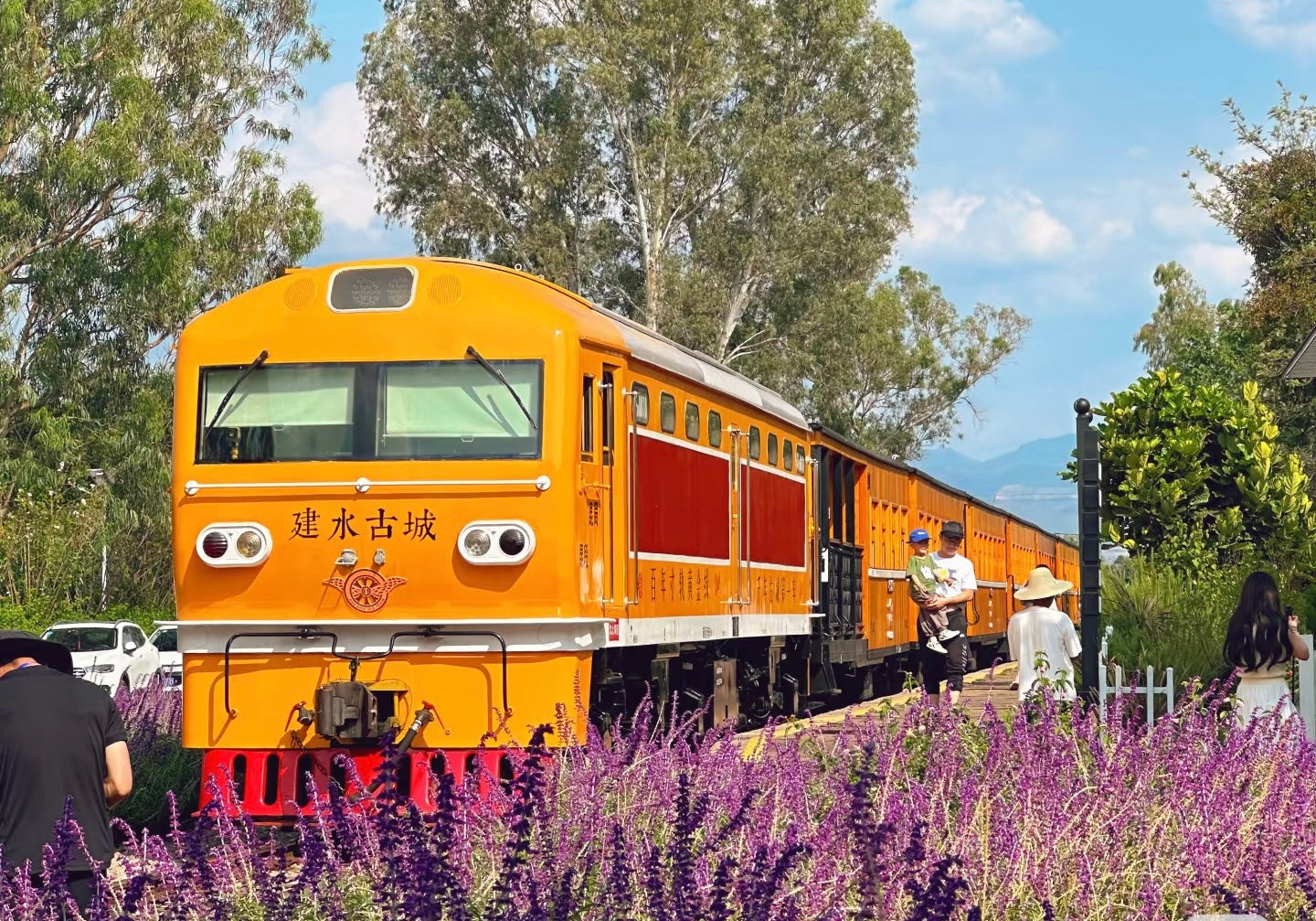 Enchanting Yunnan: 7D Cultural Odyssey (Muslim-Friendly-Halal food)