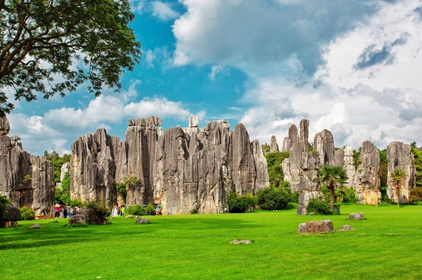 Enchanting Yunnan: 7D Cultural Odyssey (Muslim-Friendly-Halal food)