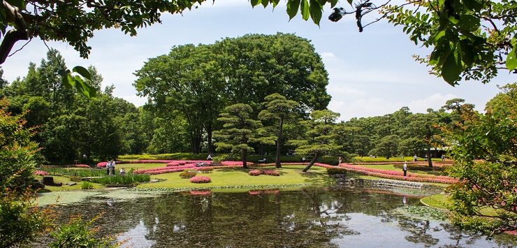 Image of Tokyo One-Day Matcha Experience & Bay Cruise