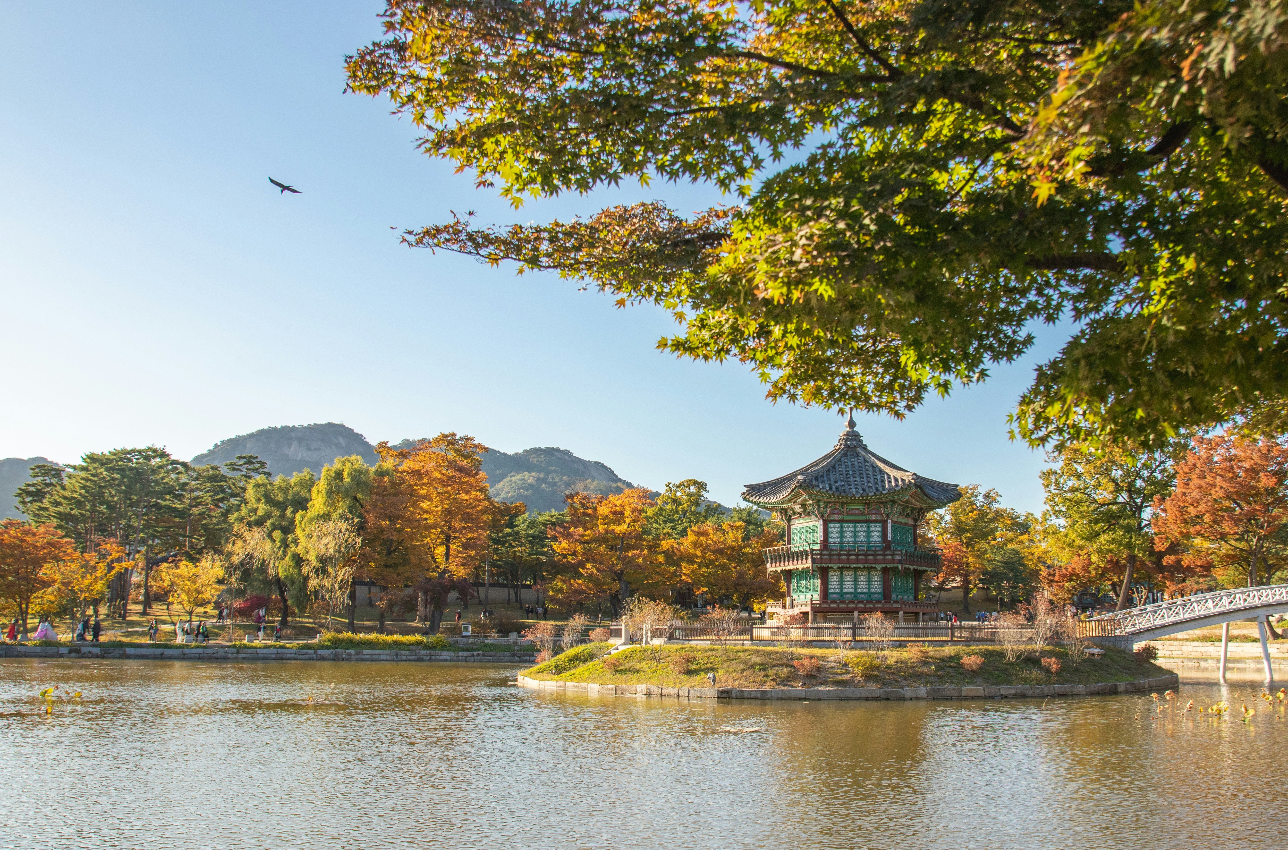 Image of Discover Seoul: Gyeongbok Palace, Bukchon Hanok & N Seoul Tower (Muslim-Friendly)