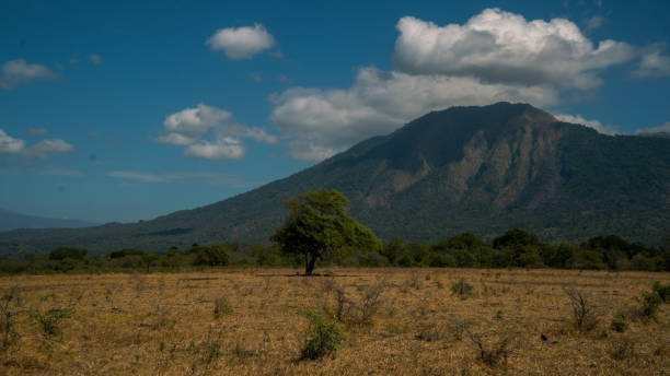 Image of [4* Hotel] Banyuwangi Nature Discovery: Savannas, Forests & Coastal Wonders