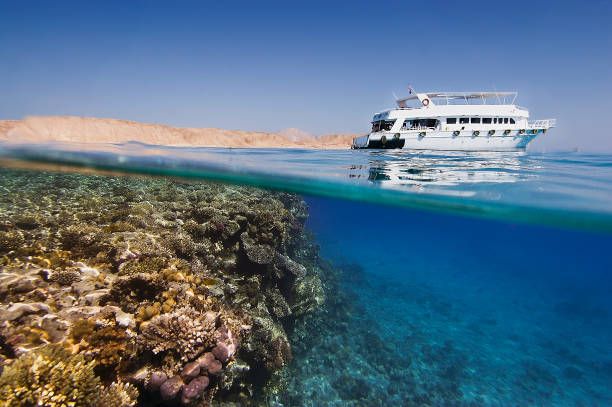 Image of Sharm Ras Mohamed Full-Day — Marine Safari, Bedouin Panorama & Sunset