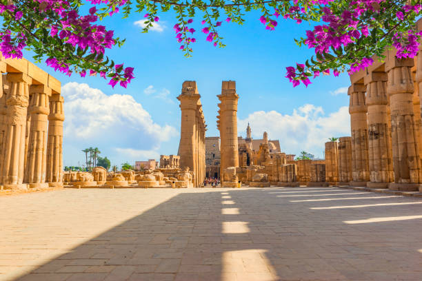 Image of Luxor 2 Day Express: Flight, Temples & Valley of the Kings