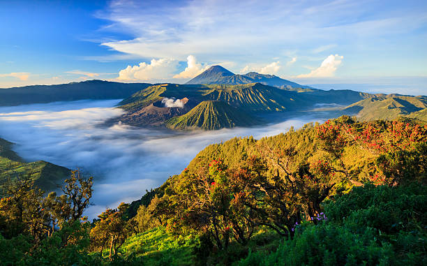 Image of [4-Star] Majestic Mount Bromo & Malang City Highlights Tour