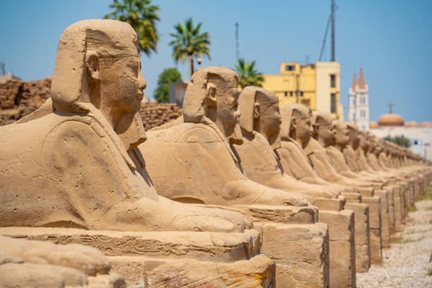 Image of Luxor 2 Day Express: Flight, Temples & Valley of the Kings