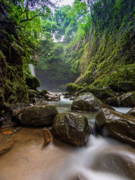 Image of [4* Hotel] Banyuwangi Nature Discovery: Savannas, Forests & Coastal Wonders