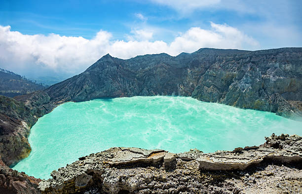 [3* Hotel] Banyuwangi Nature Discovery: Savannas, Forests & Coastal Wonders