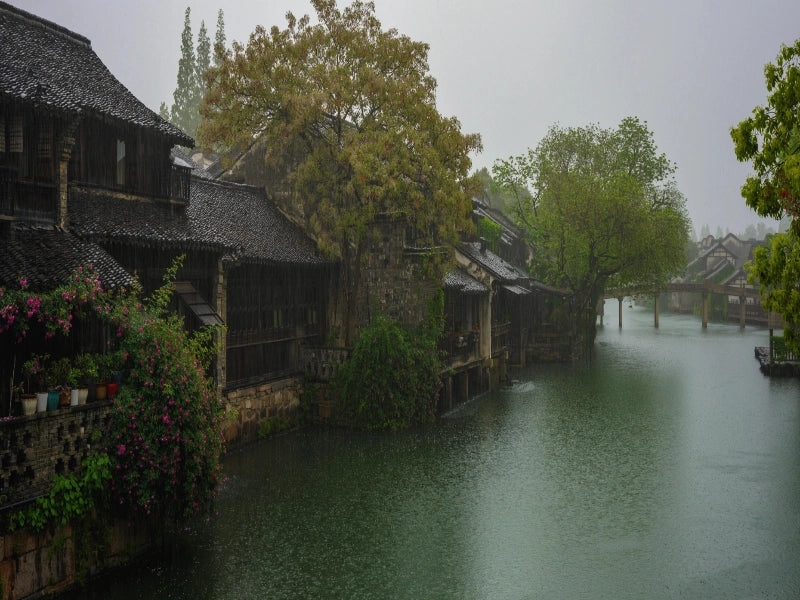 Image of 6-Day Classic East China Private Tour: A Premium Leisure Vacation