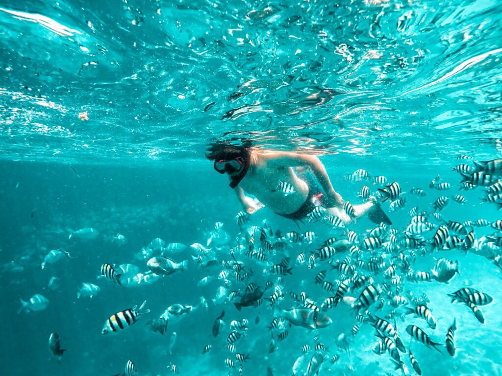 4D Manta, Dragons & Sunset Peaks: The Ultimate Labuan Bajo Escape