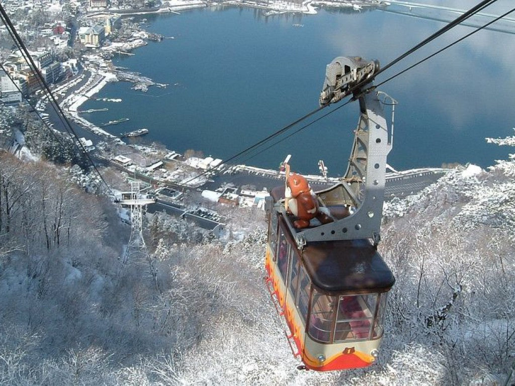 Tokyo to Mt. Fuji One-Day Tour: Hakone Cruise & Japanese Seafood Lunch