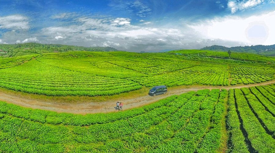 Image of Alahan Panjang & Bukittinggi Tour | 4-Day West Sumatra Getaway