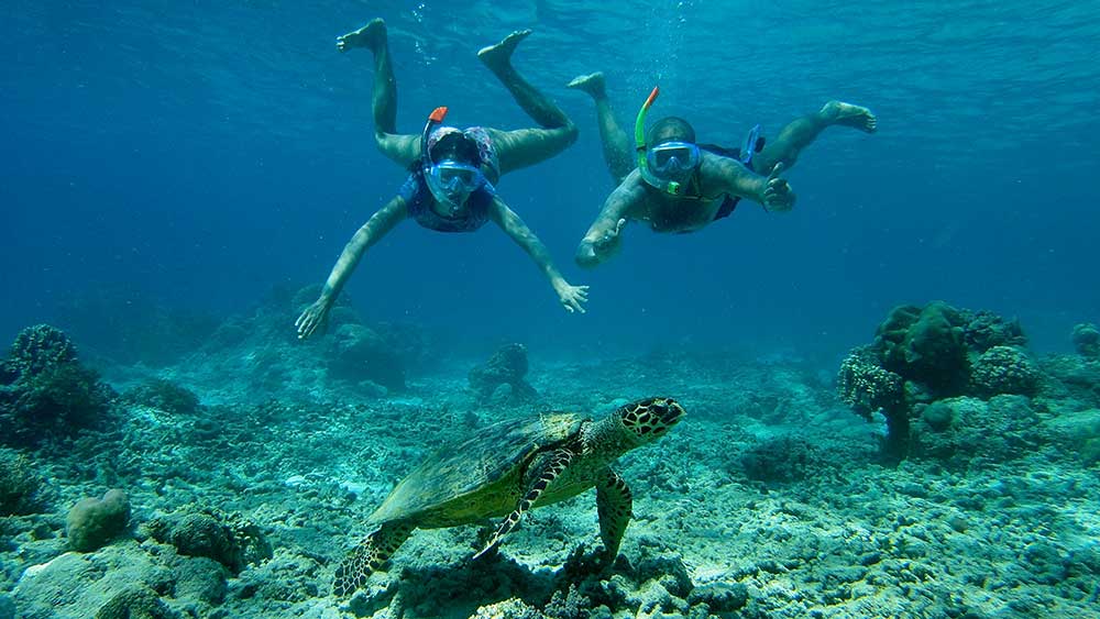 Image of Half-Day Komodo Sailing Tour – Kelor Island, Menjerite Snorkeling & Sunset Bats