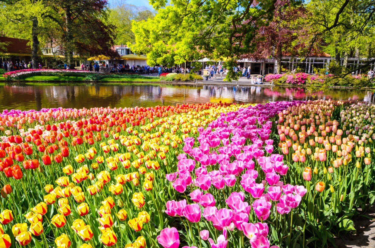 Image of Cultural Wonders of Western Europe: 5 Days in Paris, Brussels & Volendam
